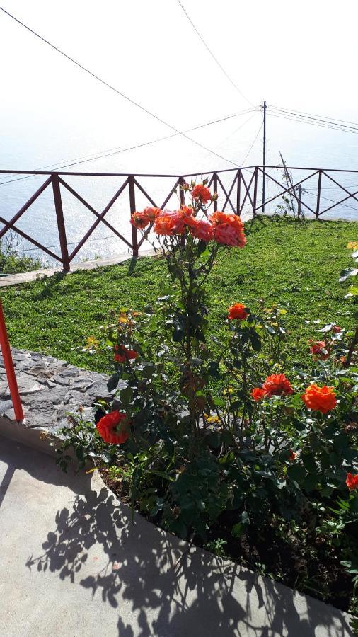 Casa Villa Dinastia Sotao Y Casa Villa Dinastia Miramar Ribeira Brava Εξωτερικό φωτογραφία
