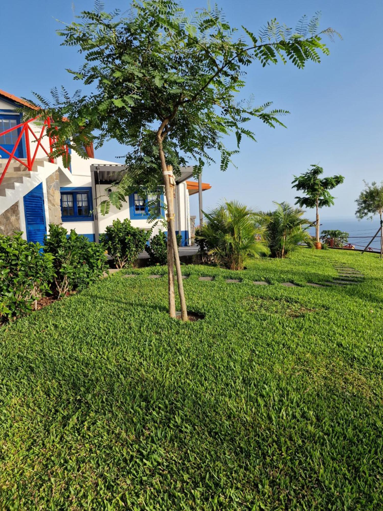 Casa Villa Dinastia Sotao Y Casa Villa Dinastia Miramar Ribeira Brava Εξωτερικό φωτογραφία