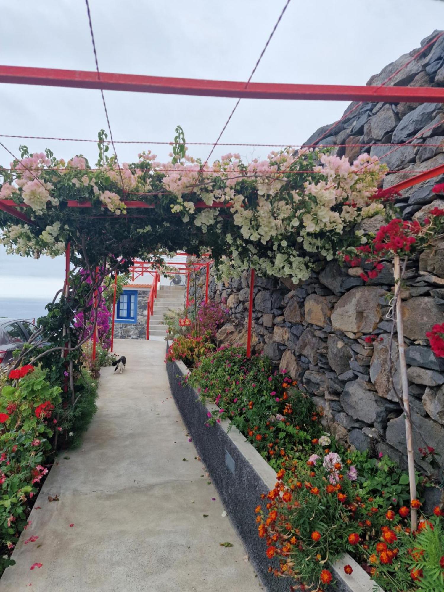 Casa Villa Dinastia Sotao Y Casa Villa Dinastia Miramar Ribeira Brava Εξωτερικό φωτογραφία